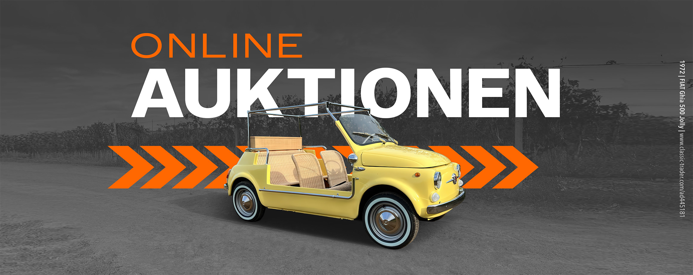 Online-Auktionen