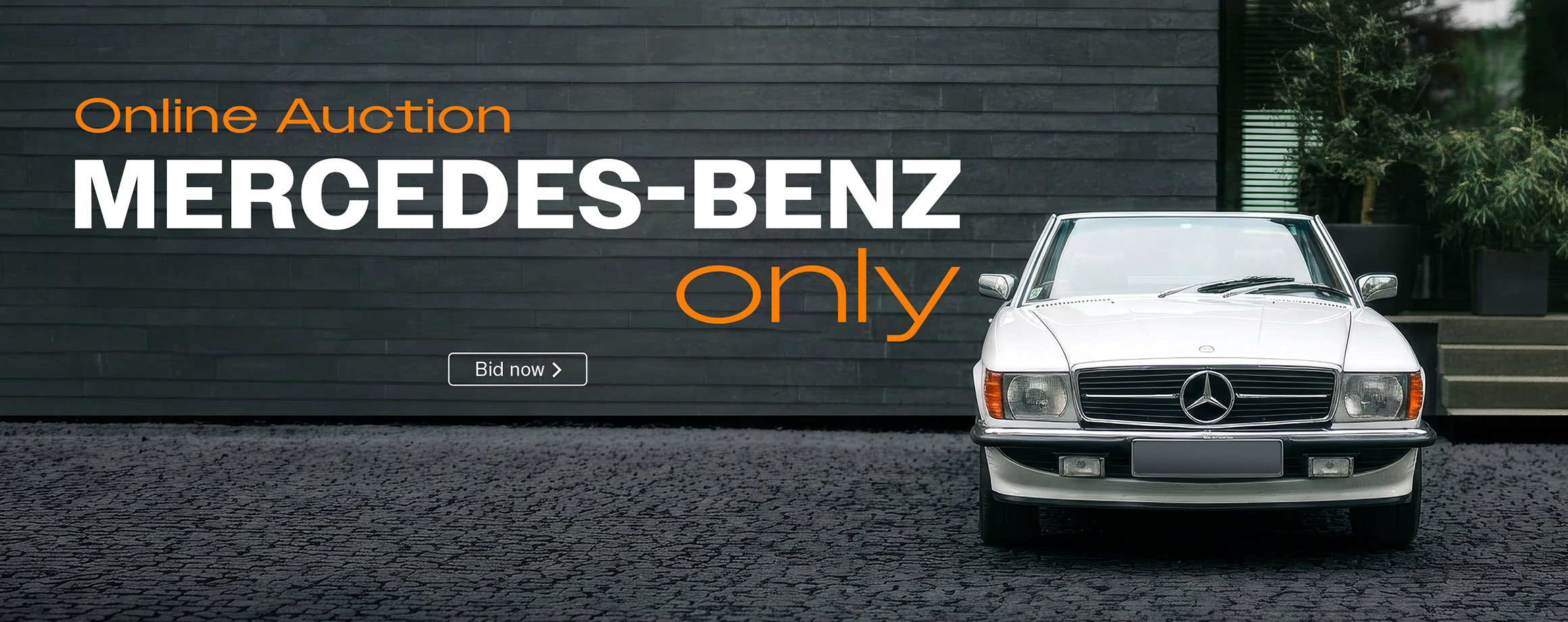 "Mercedes-Benz only" auction sale.